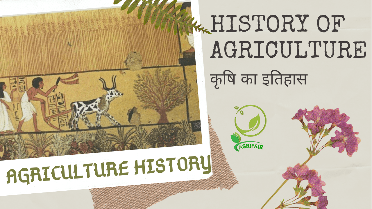 History Of Agriculture | Origin of Agriculture - AgriFair