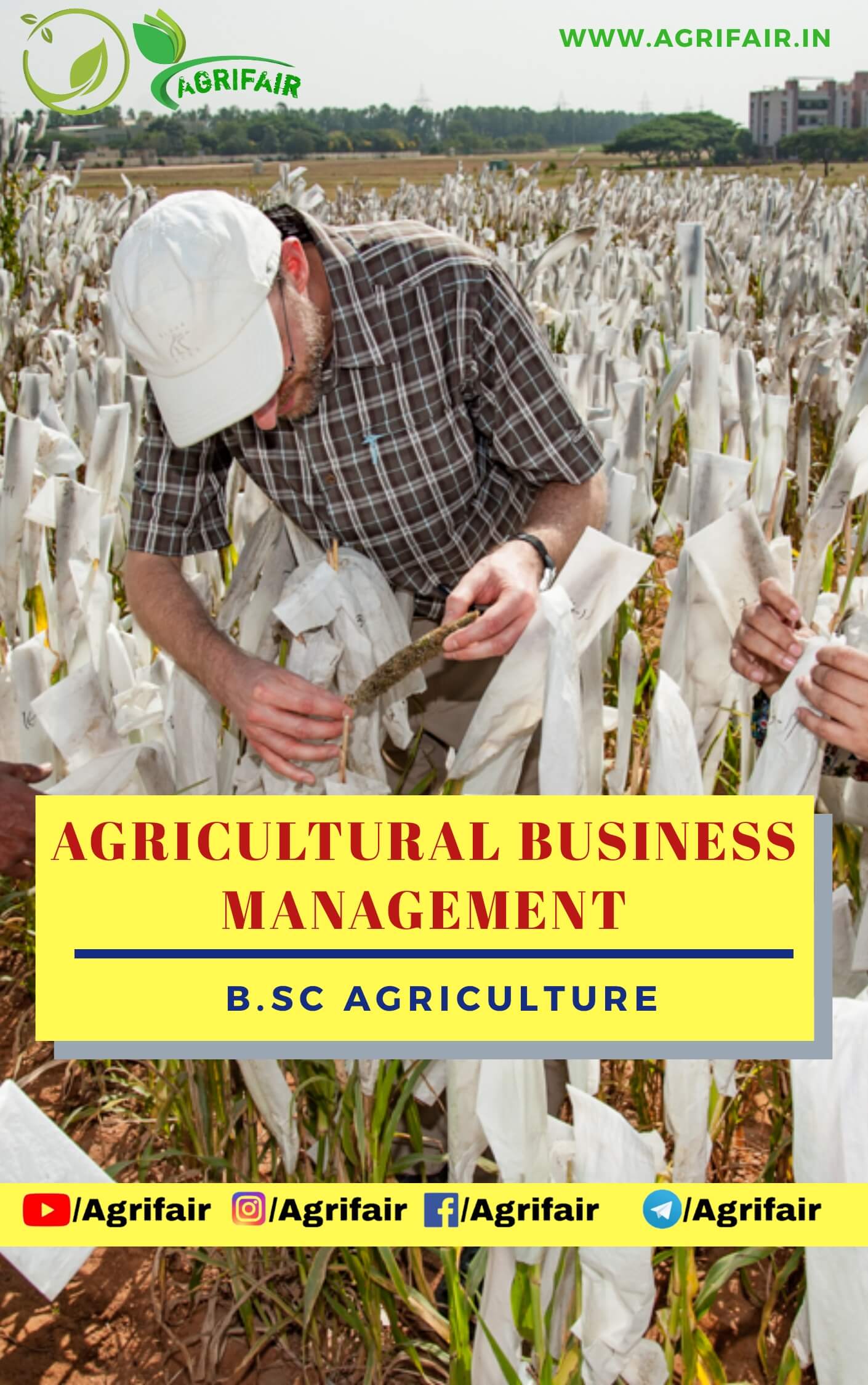 research paper on agribusiness management