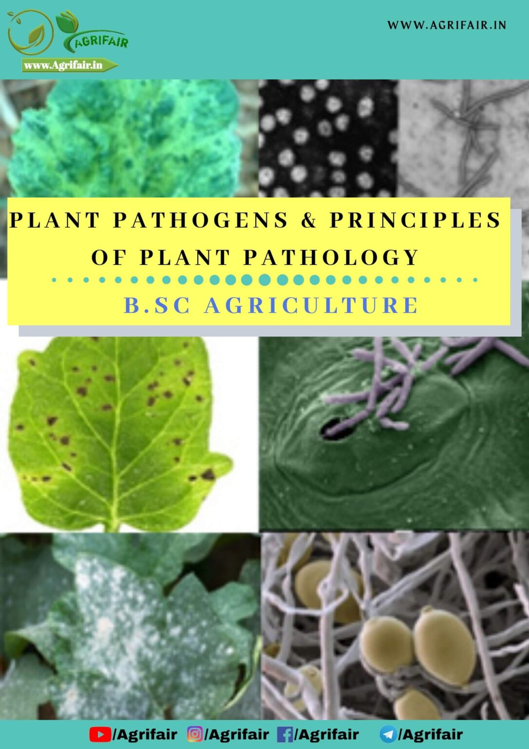 Plant Pathogens and Principles of Plant Pathology pdf