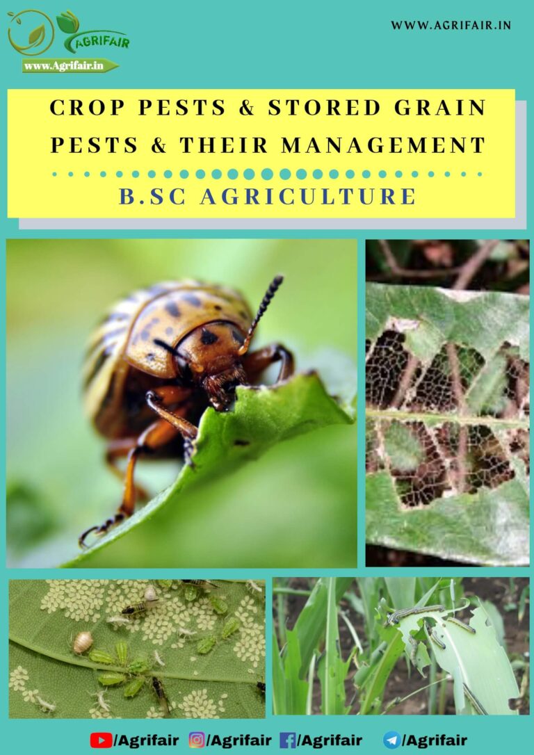 Crop Pests And Stored Grain Pests And Their Management Pdf - AgriFair