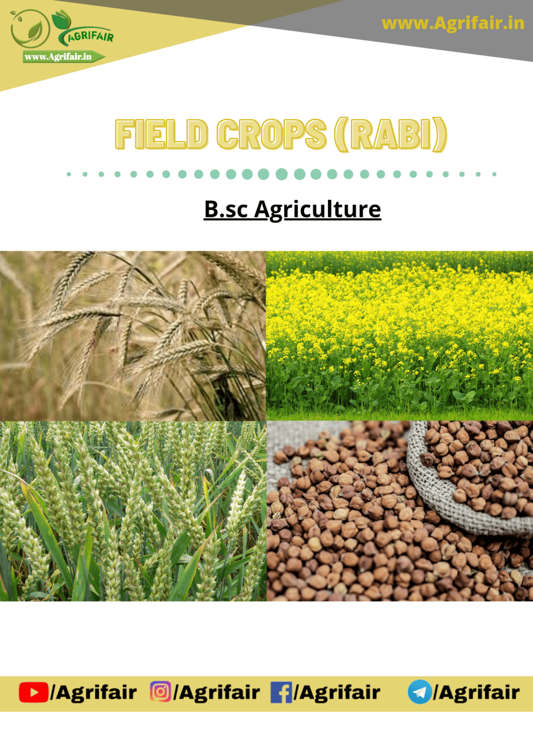 Field Crops Rabi pdf AgriFair
