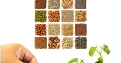 Crop Production Technology (Rabi crops) Pdf book - AgriFair