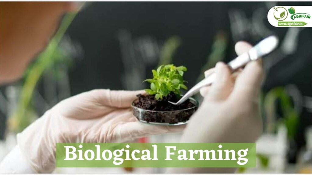 Biological Farming