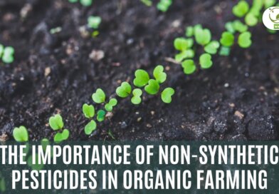 Non-synthetic Pesticides