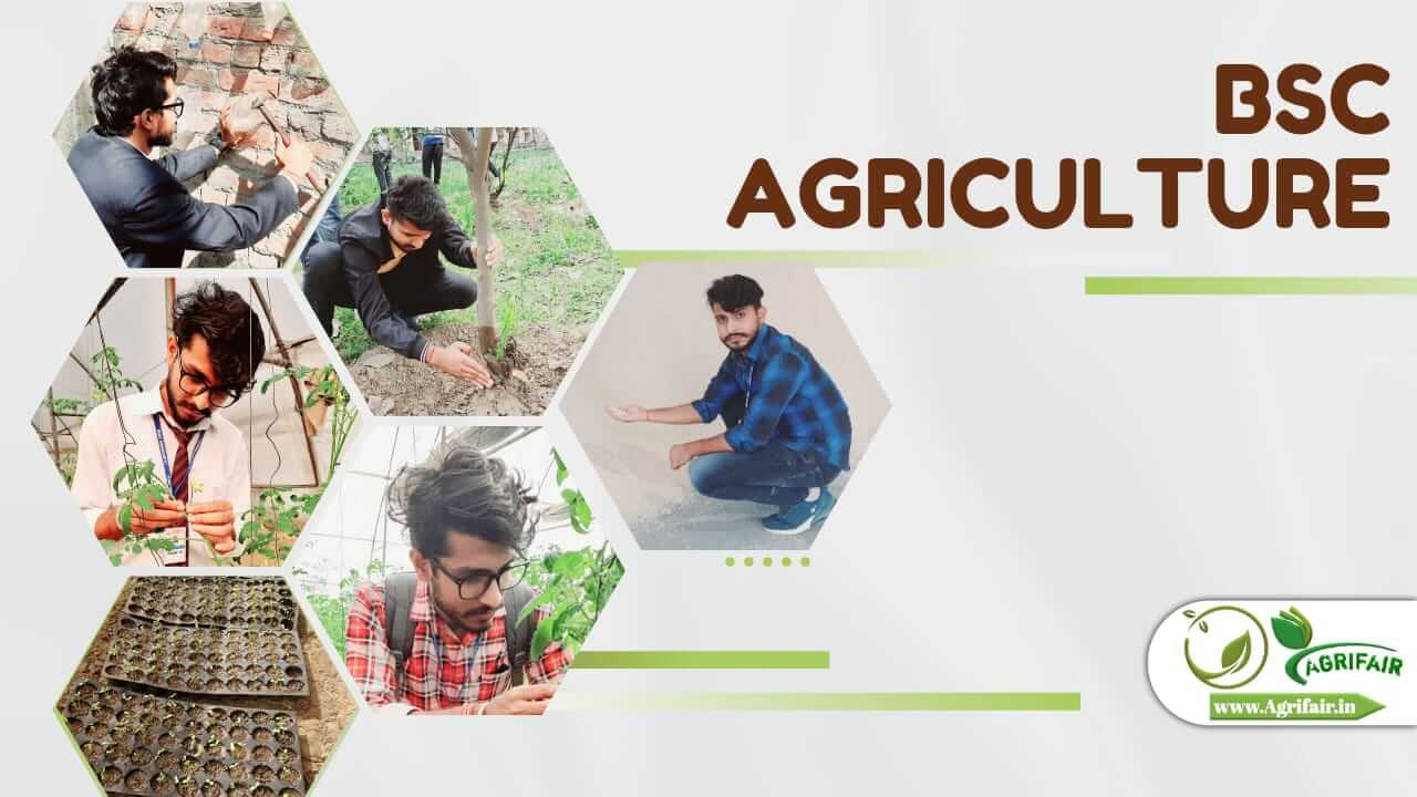 BSc Agriculture: The Ultimate Guide To Pursuing A Career In Agriculture ...