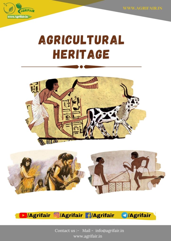 Agriculture Heritage pdf