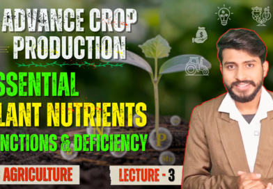 Essential Plant Nutrients, Classification of Plant Nutrients.