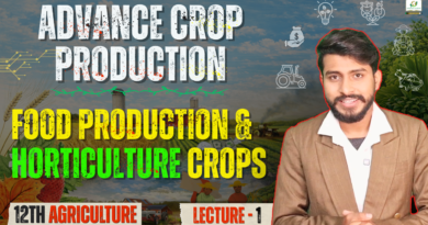 Food Production Including Horticulture Crops and It‘s Important in The Economy and Notional Security