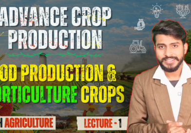 Food Production Including Horticulture Crops and It‘s Important in The Economy and Notional Security